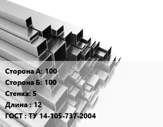 Труба профильная 100х100 s=5 L=12 ГОСТ: ТУ 14-105-737-2004